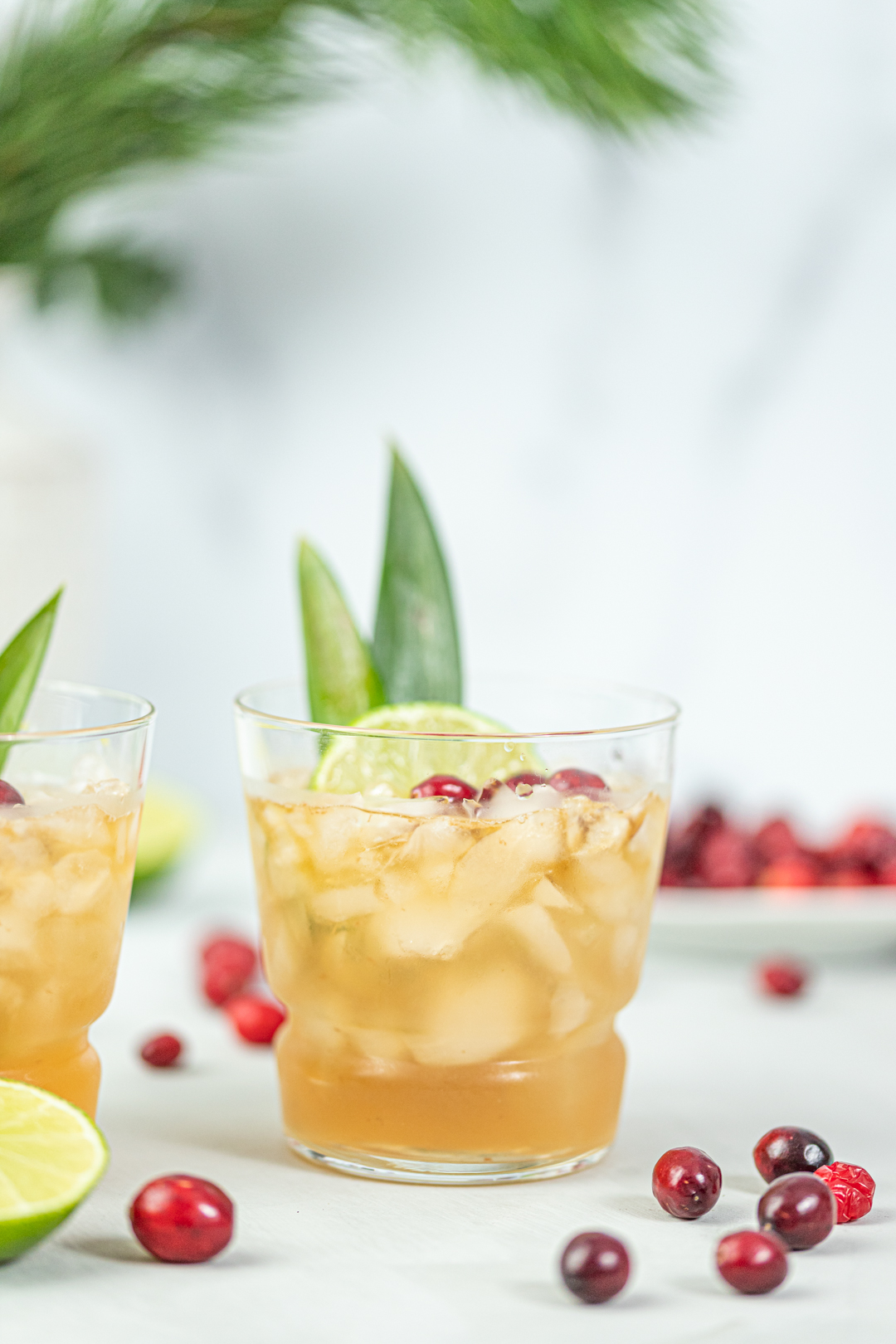 Spiced Cranberry Holiday Mai Tai The Boozy Ginger