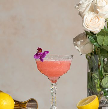 Campari and Elderflower Gin Sour Pink Cocktail