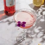 Campari and Elderflower Gin Sour Pink Cocktail