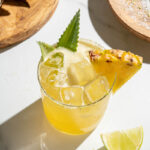 The Boozy Ginger - Sarah Gualtieri -Pineapple Passion Mezcal Margarita