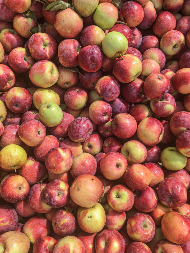 Slow Cooker Apple Cider